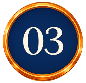 Number 03 in a gold-bordered dark blue circle.