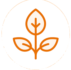 Orange line-art icon of a sprout with three leaves.