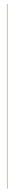 Thin light orange vertical line