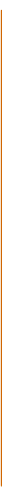 A single thin vertical orange line on white background.